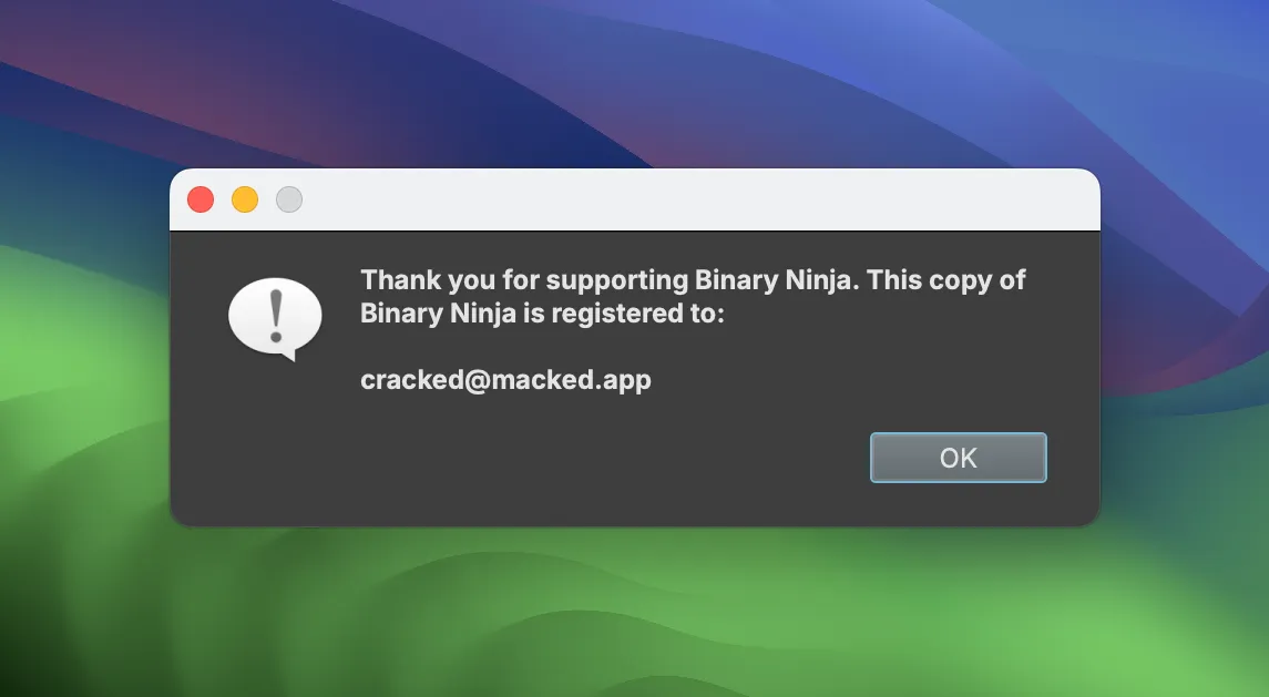 Binary Ninja Personal